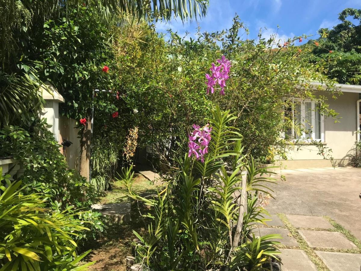 Sunbird Bungalow Anse Boileau 외부 사진